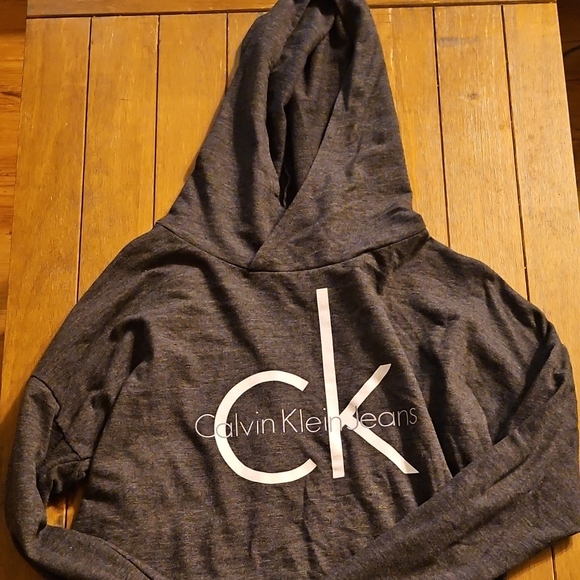 Calvin Klein Jeans Gray Hoodie - Picture 1 of 4
